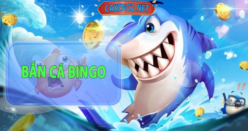 bắn cá bingo