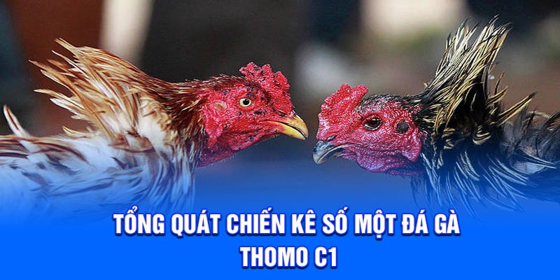 Tổng quát chiến kê số một đá gà thomo c1