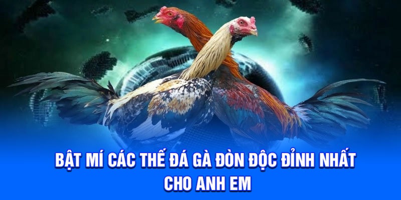 Bật mí các thế đá gà đòn độc đỉnh nhất cho anh em